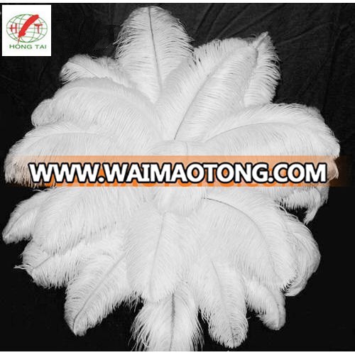 wholesale cheap fashion beautiful Ostrich feather